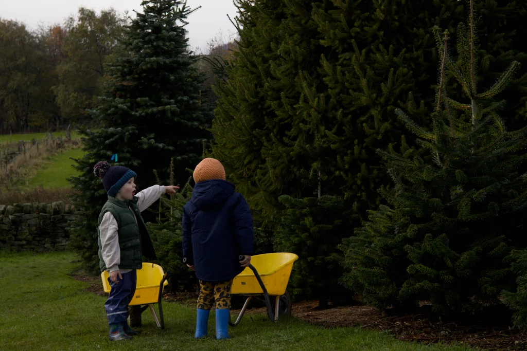 Pumpkin Picking