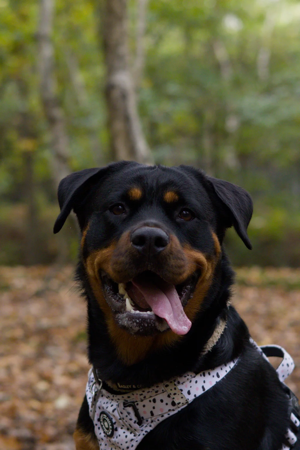 Ruby